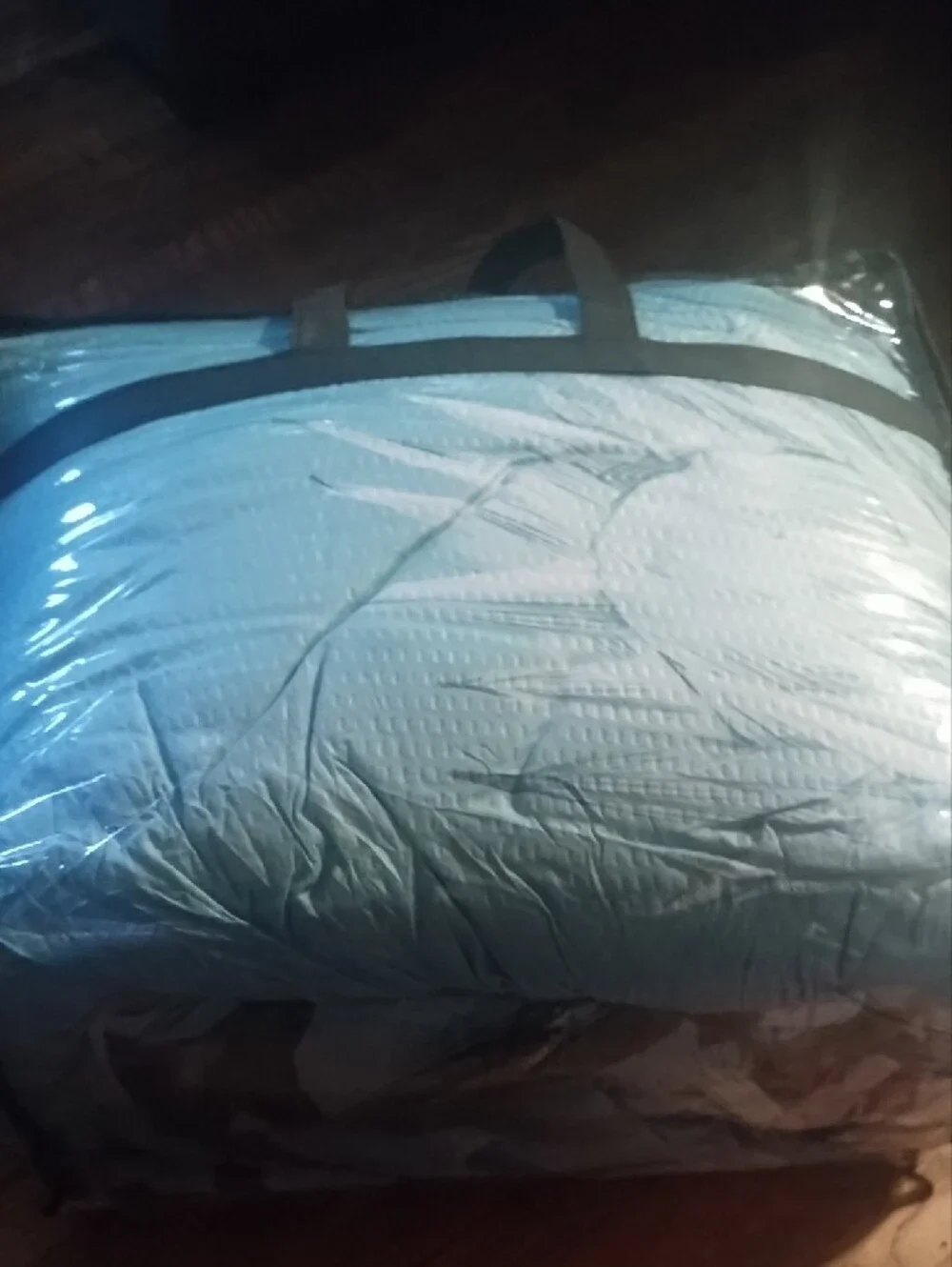 Clear Storage Bag with Black Handles and Trim